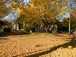  square, automne